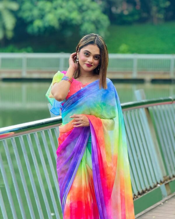 Indian Rainbow Saree - Image 13