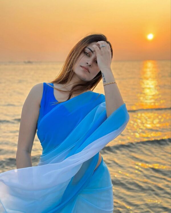 Indian Rainbow Saree - Image 14