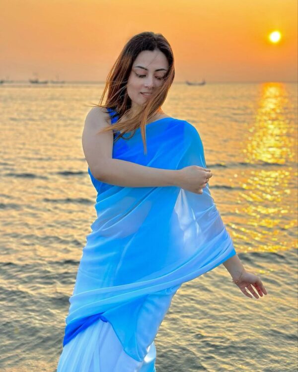 Indian Rainbow Saree - Image 15