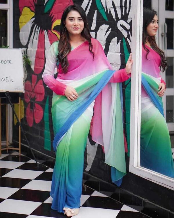 Indian Rainbow Saree - Image 6