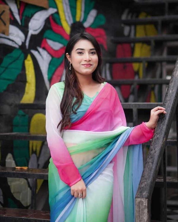 Indian Rainbow Saree - Image 7