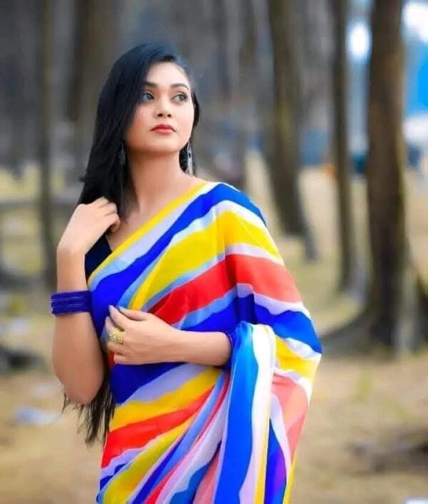 Indian Rainbow Saree - Image 8