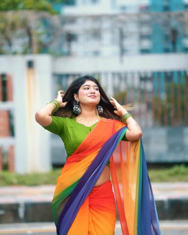 Indian Rainbow Saree - Image 5