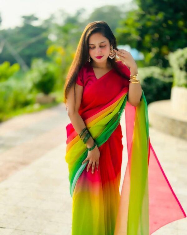 Indian Rainbow Saree - Image 4