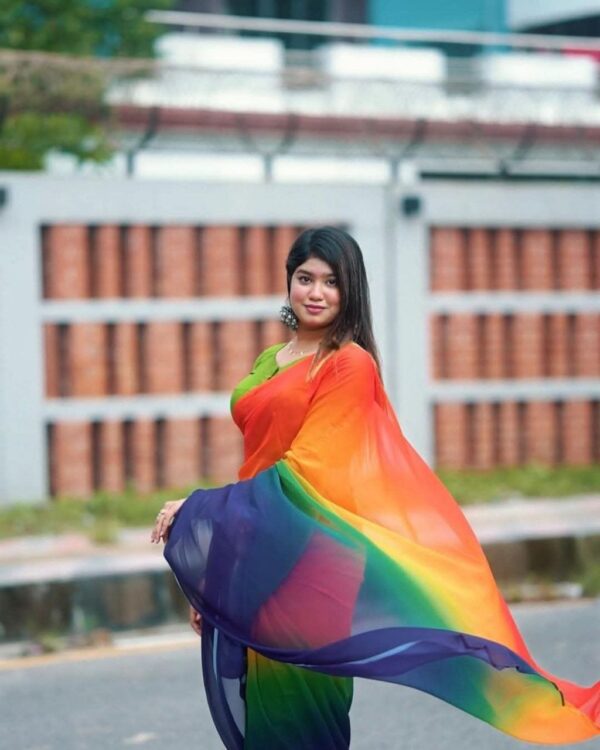 Indian Rainbow Saree - Image 3