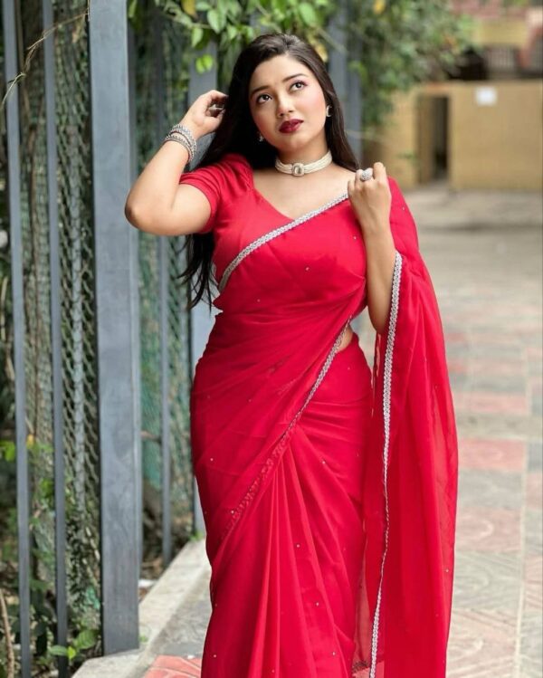 Indian Microsoft Georgette Saree - Image 11