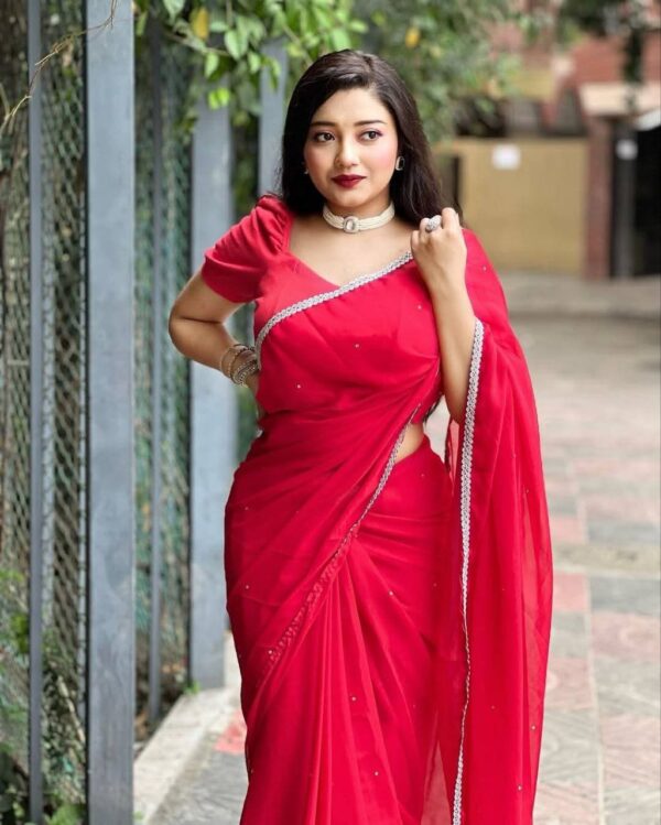 Indian Microsoft Georgette Saree - Image 13